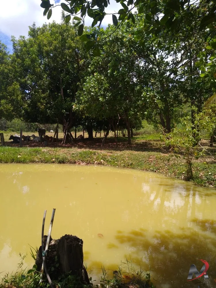 Chácara, 3 quartos, 15 hectares - Foto 6