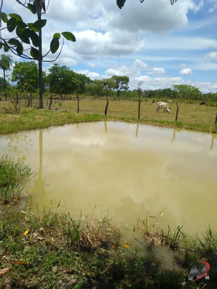 Chácara, 3 quartos, 15 hectares - Foto 7