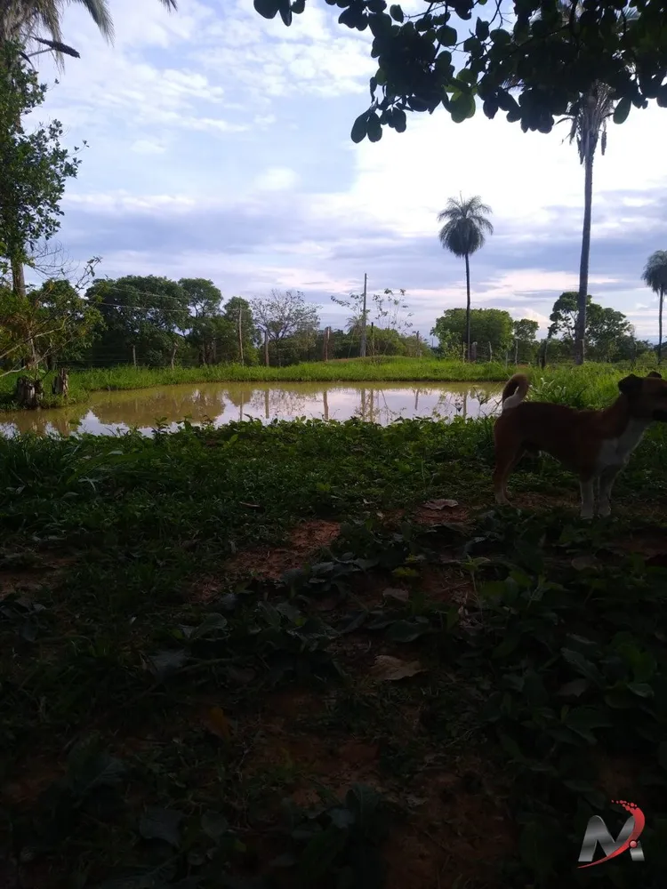 Chácara, 3 quartos, 15 hectares - Foto 4