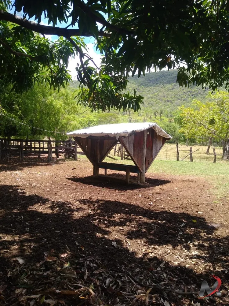 Chácara, 3 quartos, 15 hectares - Foto 9