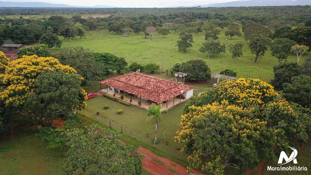 Fazenda, 51 hectares - Foto 6