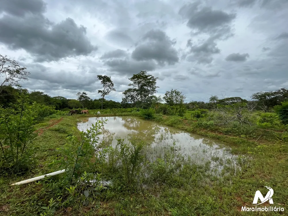 Fazenda, 51 hectares - Foto 3