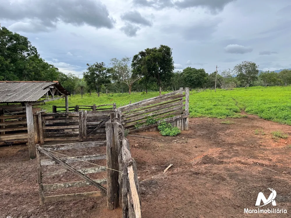 Fazenda, 51 hectares - Foto 5