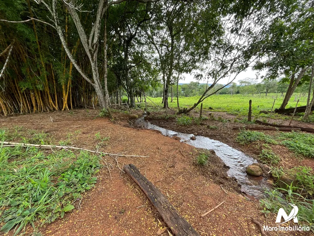 Fazenda, 51 hectares - Foto 12