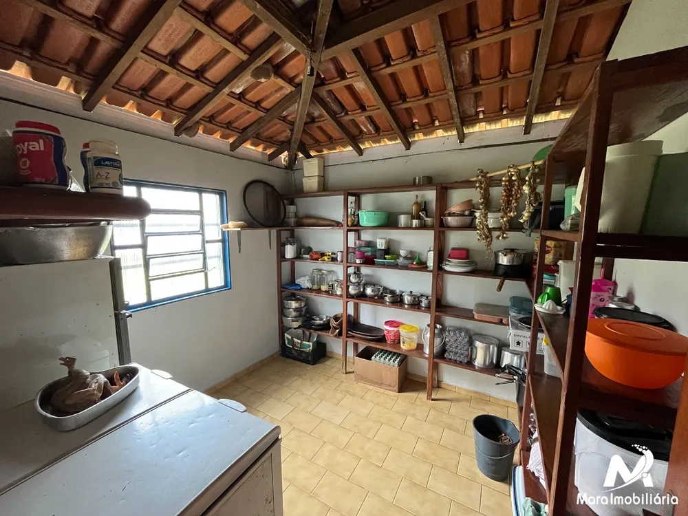 Fazenda, 51 hectares - Foto 7