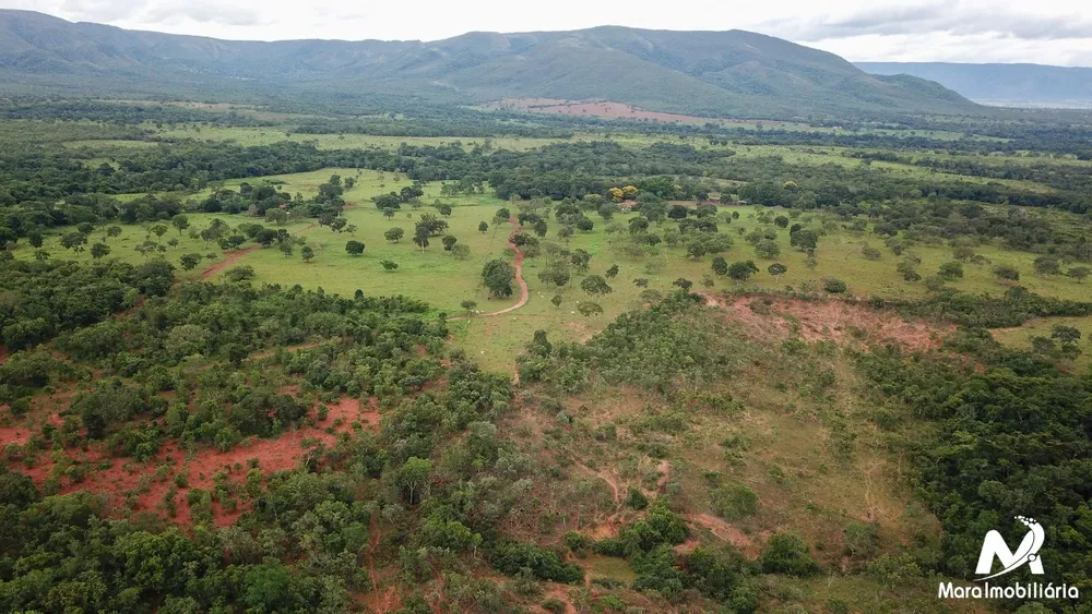 Fazenda, 51 hectares - Foto 4
