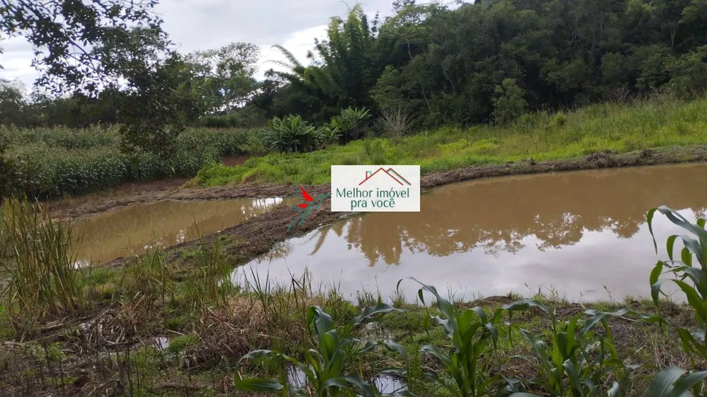 Chácara, 2 quartos, 2 hectares - Foto 1