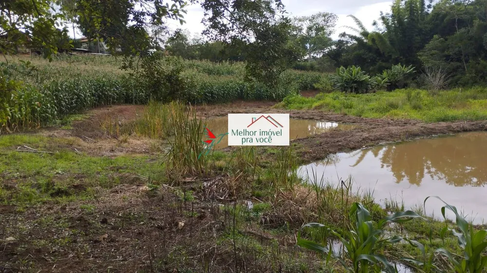 Chácara, 2 quartos, 2 hectares - Foto 12