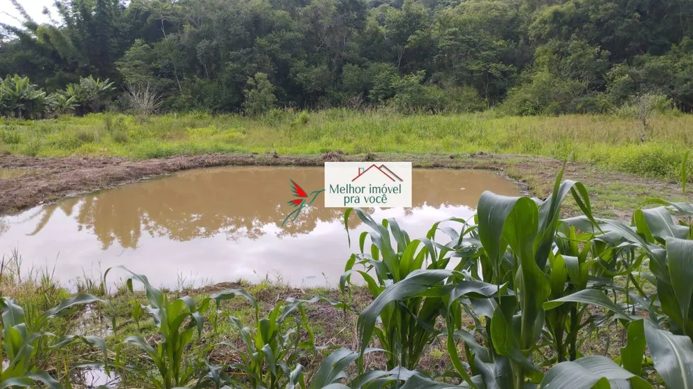 Chácara, 2 quartos, 2 hectares - Foto 4