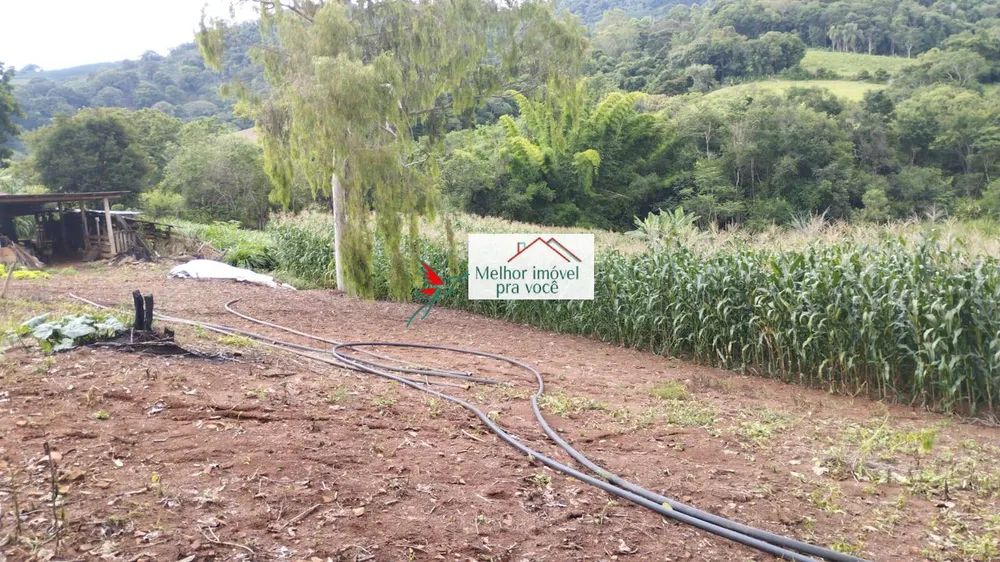 Chácara, 2 quartos, 2 hectares - Foto 7