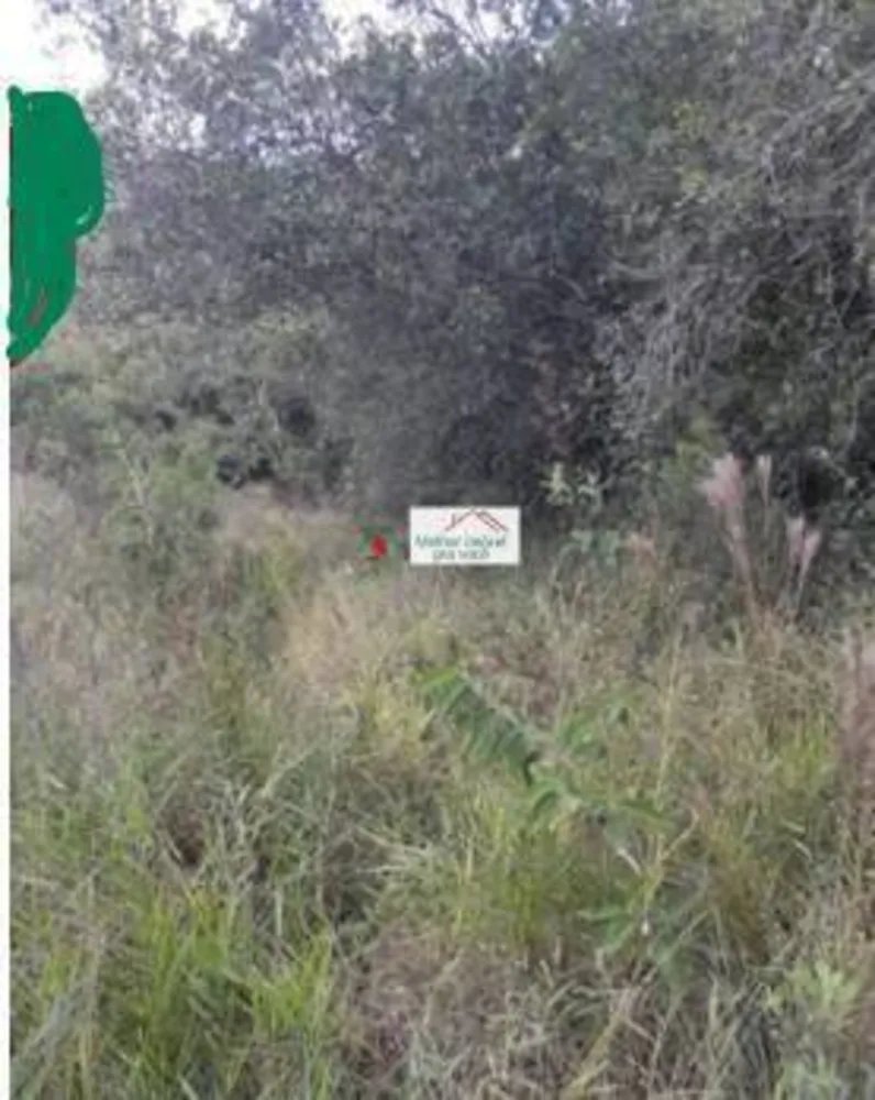 Terreno, 3000 m² - Foto 3