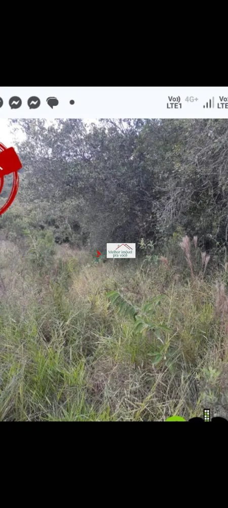 Terreno, 3000 m² - Foto 7
