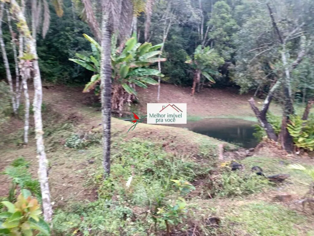 Sítio, 3 quartos, 3 hectares - Foto 8