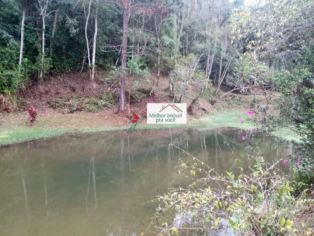 Sítio, 3 quartos, 3 hectares - Foto 4