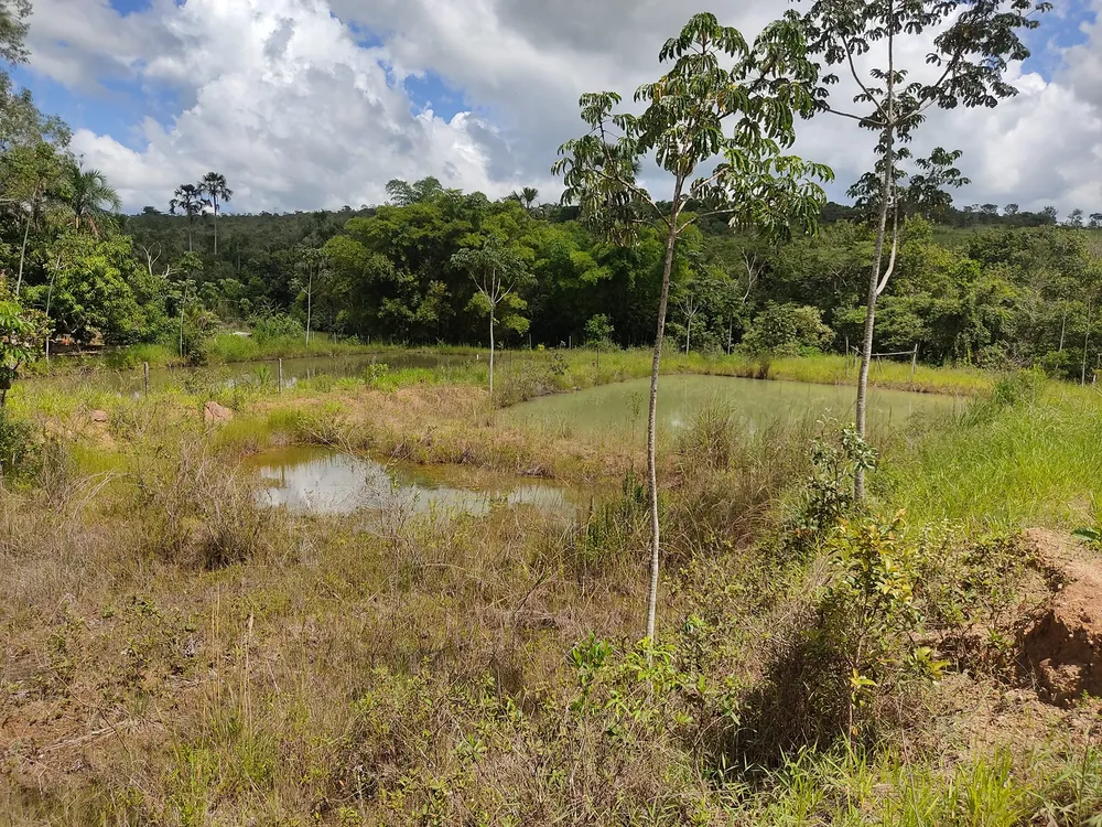 Chácara, 3 quartos, 4500 m² - Foto 5