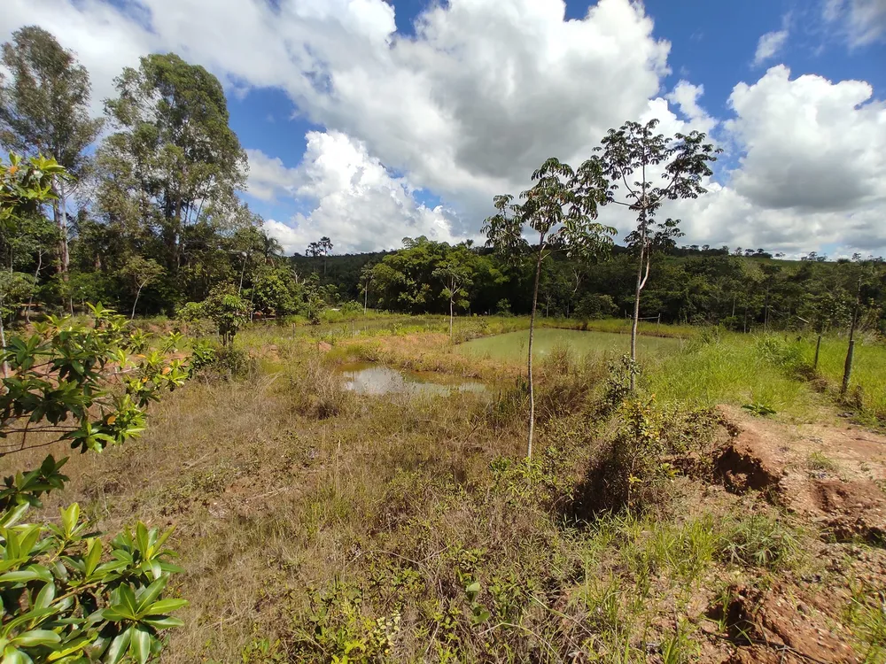 Chácara, 3 quartos, 4500 m² - Foto 4