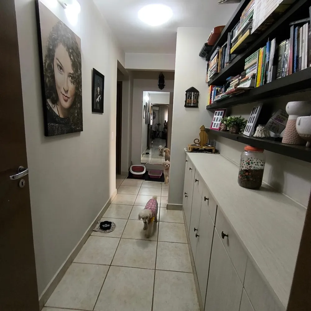 Casa, 5 quartos, 220 m² - Foto 5