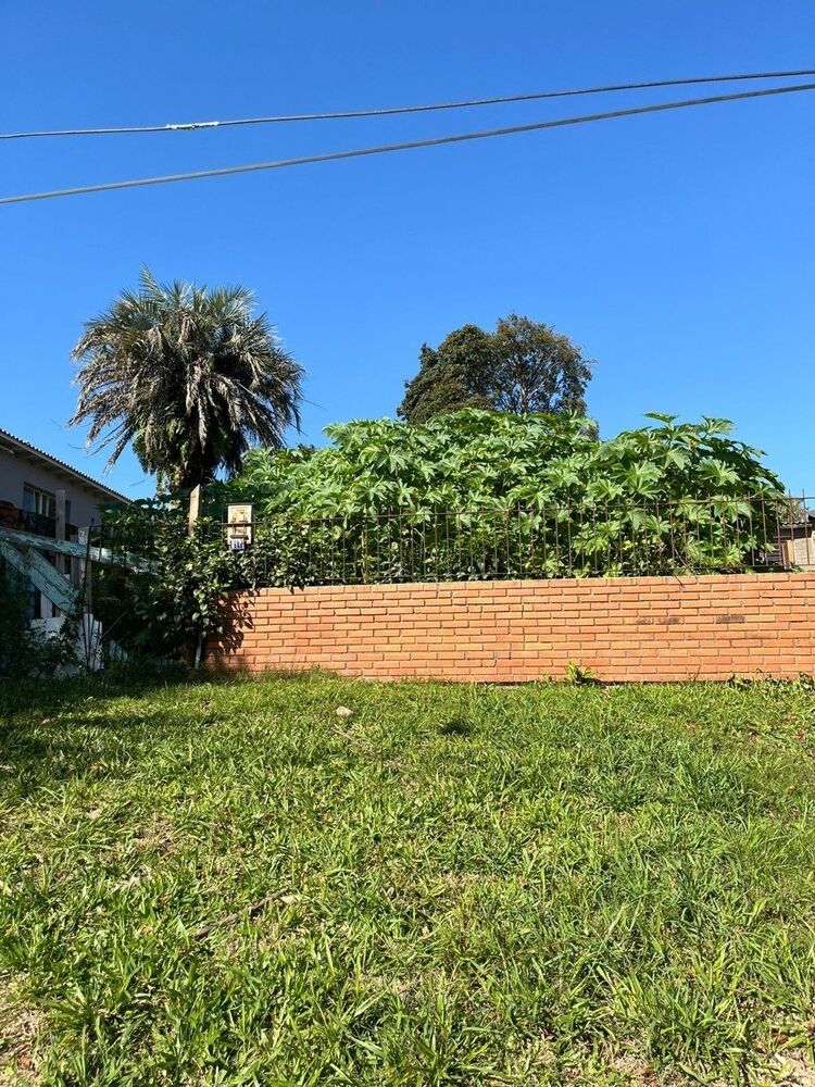 Terreno à venda - Foto 6