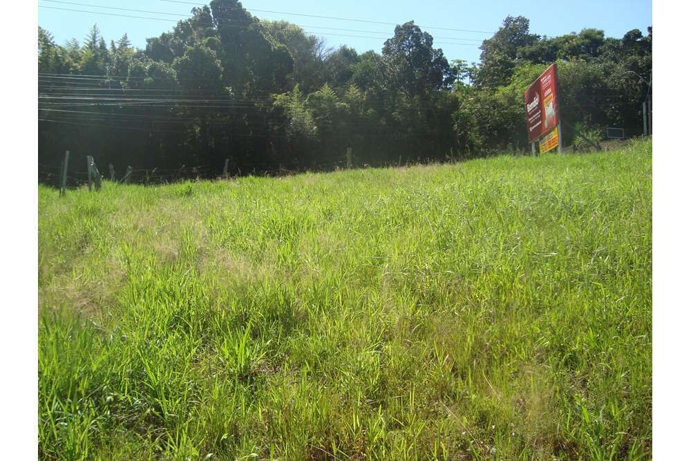 Terreno à venda - Foto 6