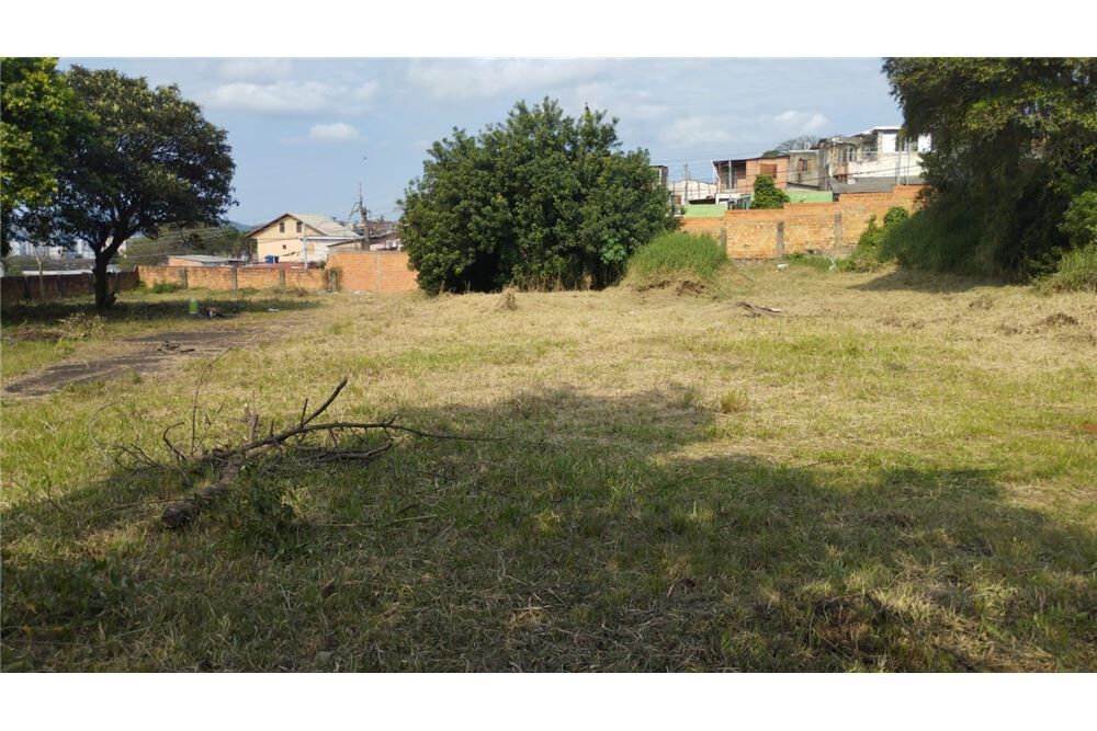 Terreno à venda - Foto 6
