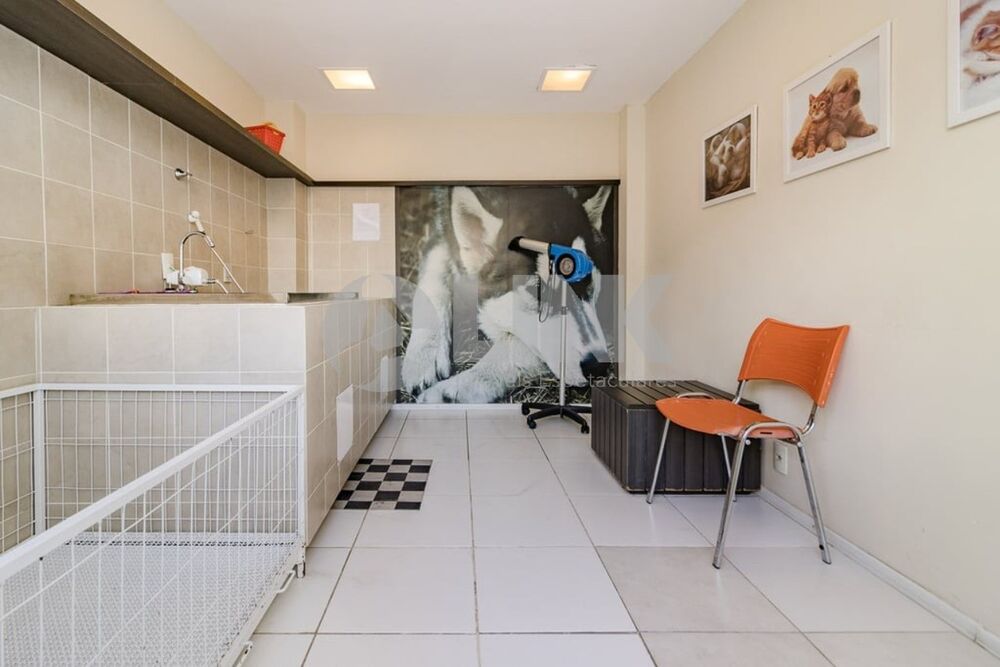 Apartamento, 3 quartos, 72 m² - Foto 13