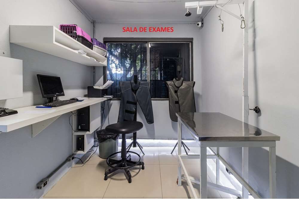 Loja-Salão, 300 m² - Foto 4