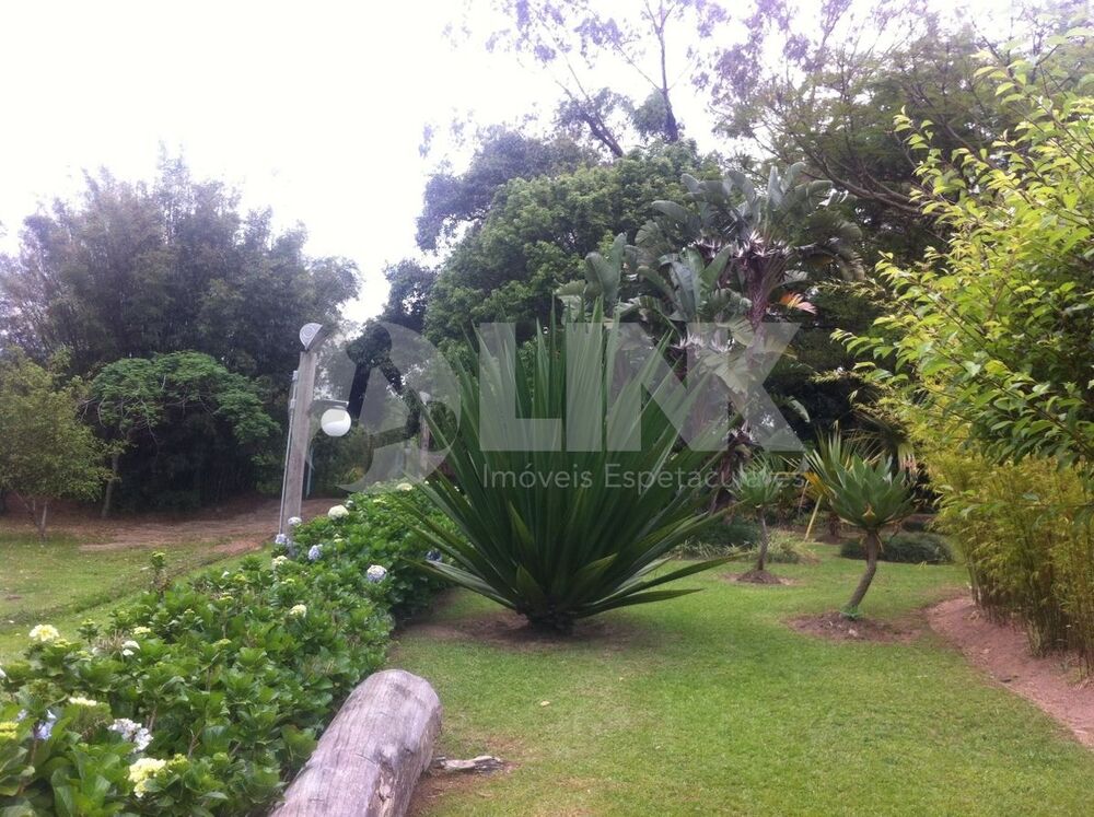 Terreno, 2 hectares - Foto 3