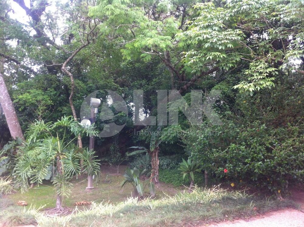 Terreno, 2 hectares - Foto 4