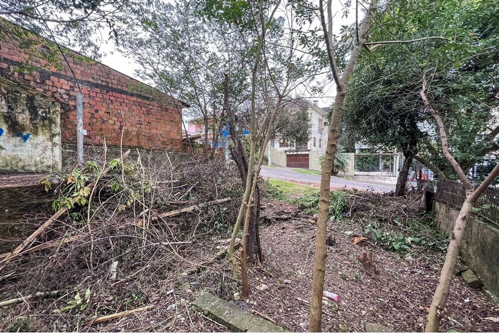 Terreno à venda - Foto 3
