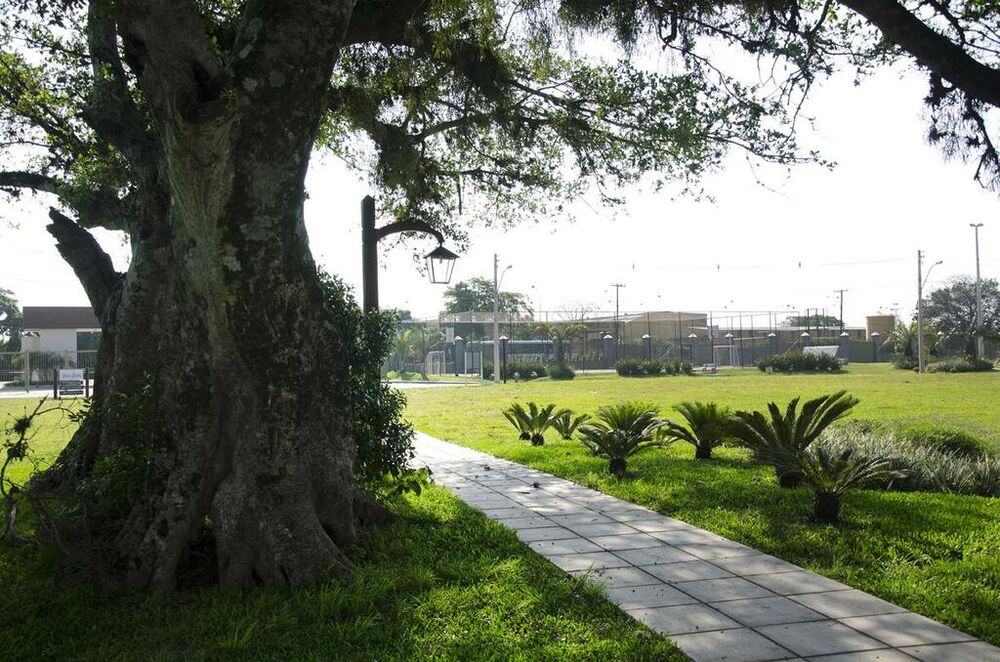 Terreno à venda - Foto 4