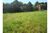 Terreno - Foto 5