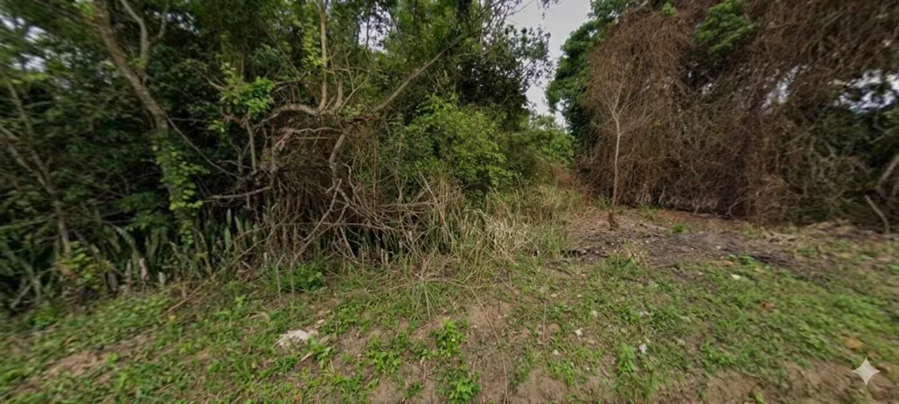 Terreno, 600 m² - Foto 4