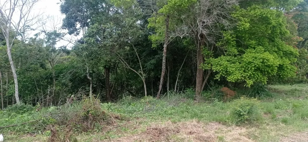 Terreno, 450 m² - Foto 11