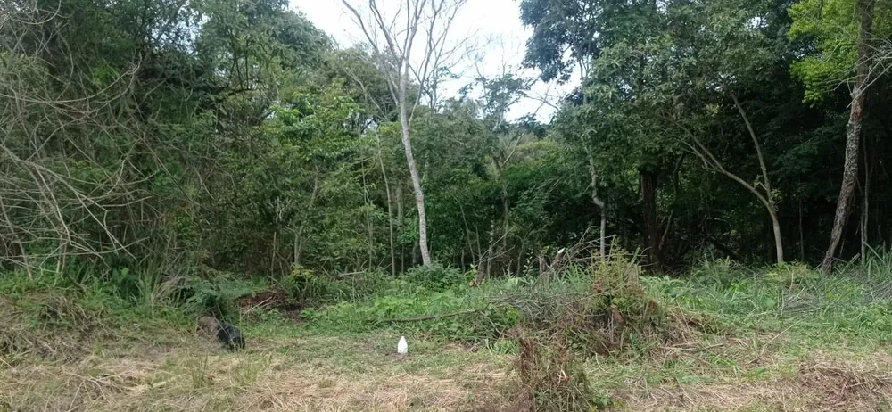 Terreno, 450 m² - Foto 3