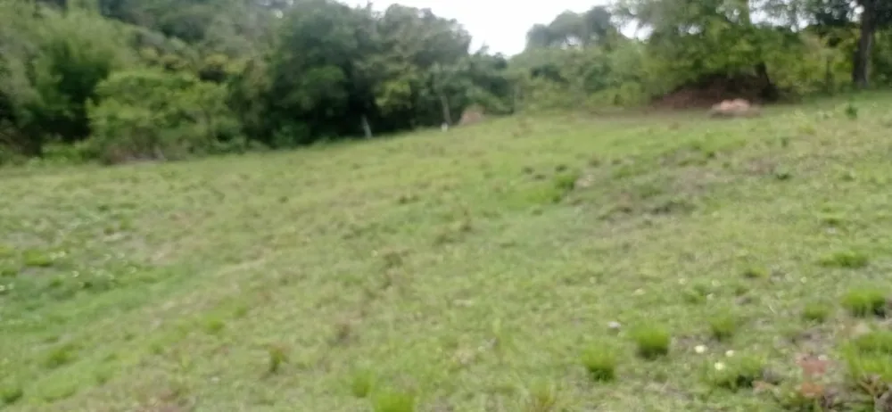 Terreno, 450 m² - Foto 5