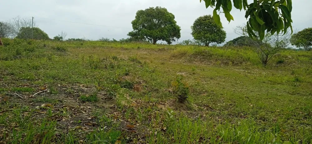 Terreno, 800 m² - Foto 3