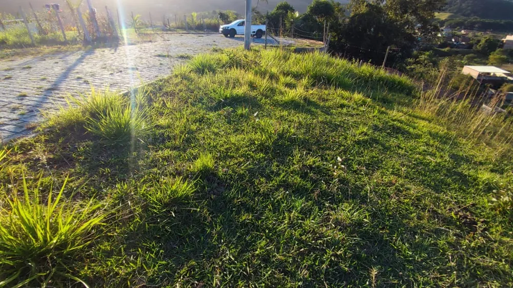 Terreno - Foto 5