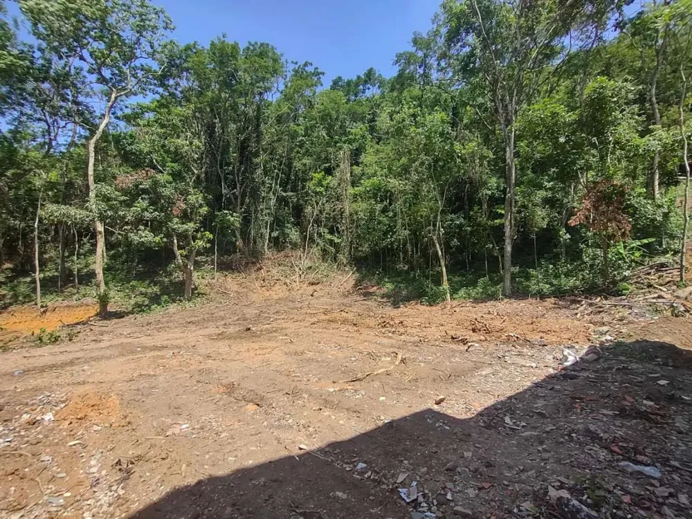 Terreno, 4360 m² - Foto 4