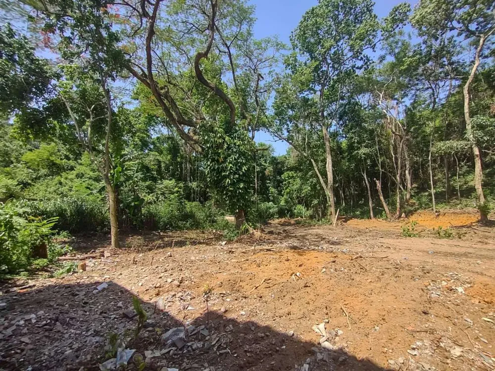 Terreno, 4360 m² - Foto 1