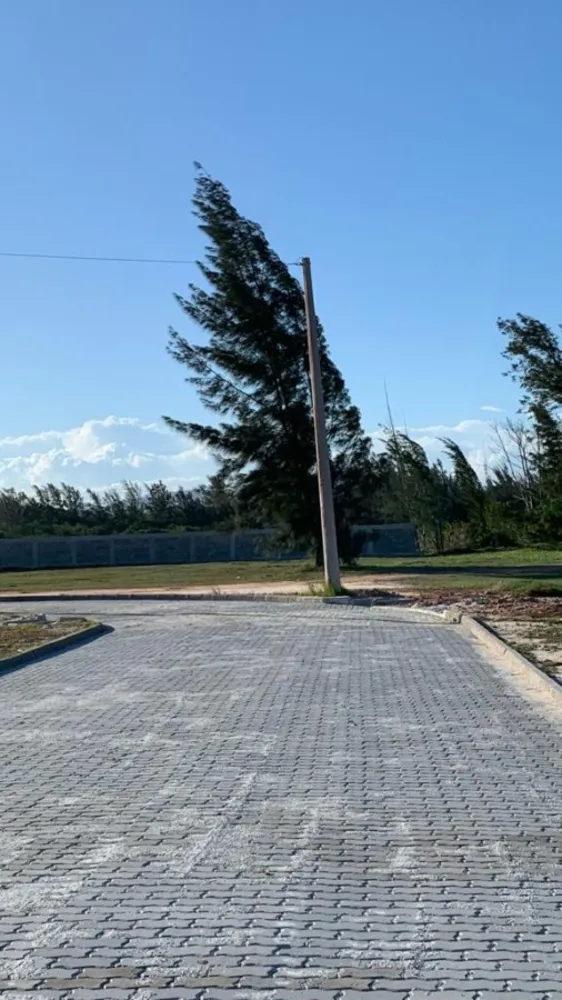 Terreno, 1000 m² - Foto 12
