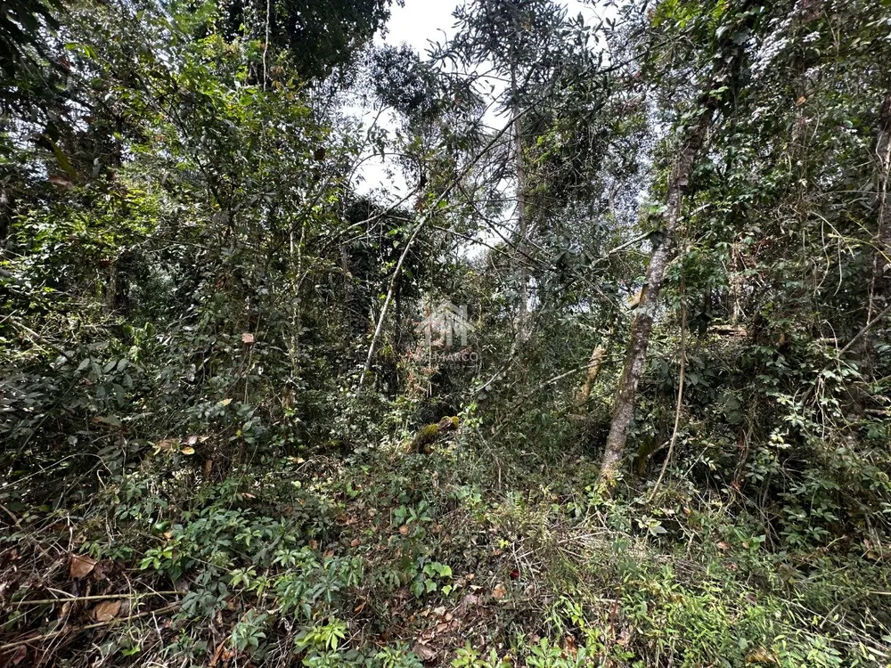 Terreno - Foto 10