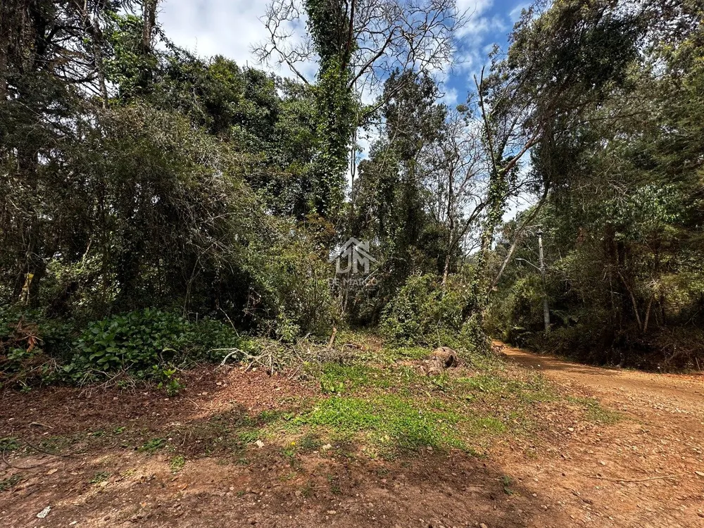 Terreno - Foto 6