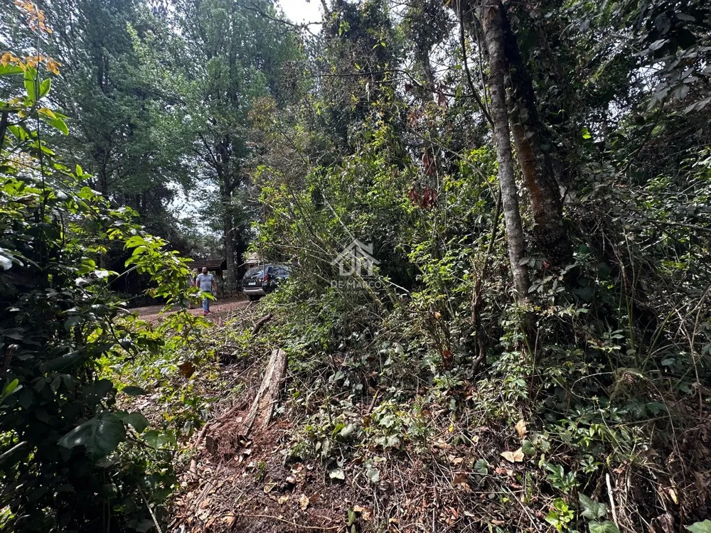 Terreno - Foto 11