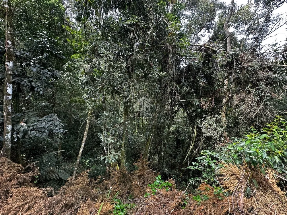 Terreno - Foto 4