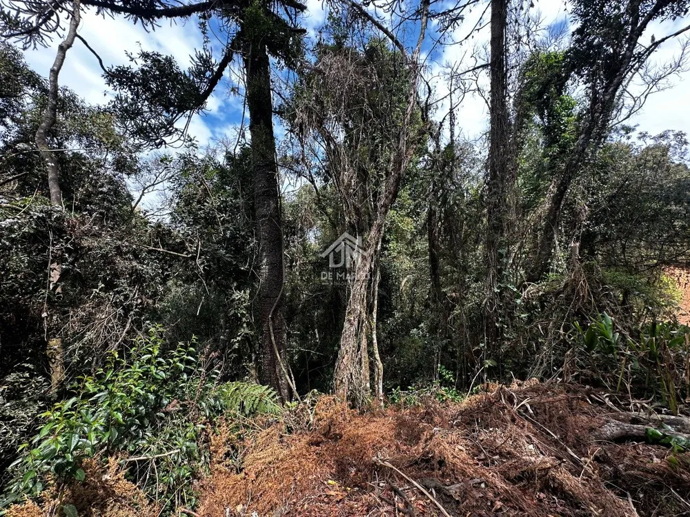 Terreno - Foto 5