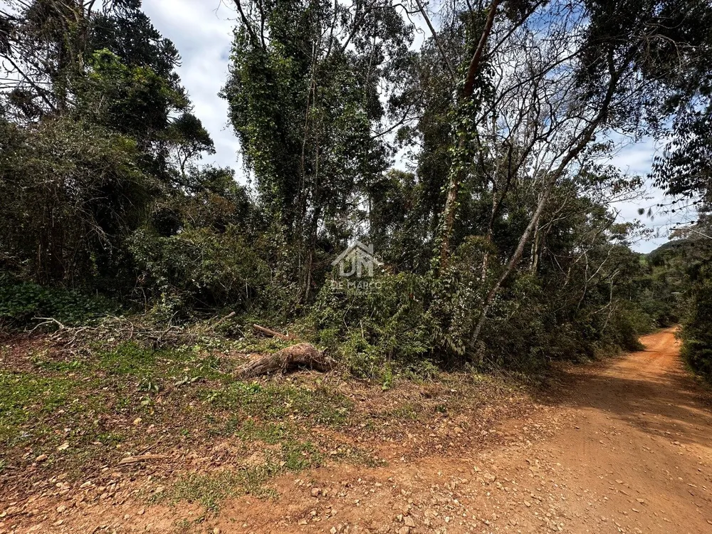 Terreno - Foto 7