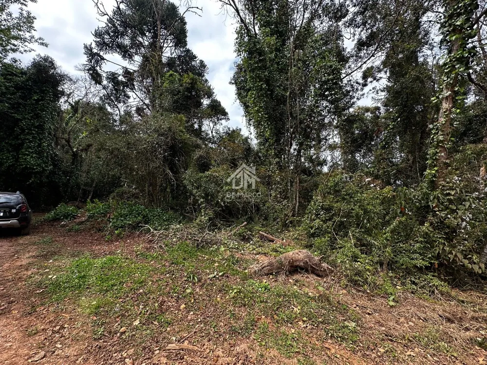 Terreno - Foto 8