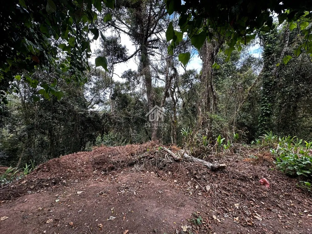 Terreno - Foto 2