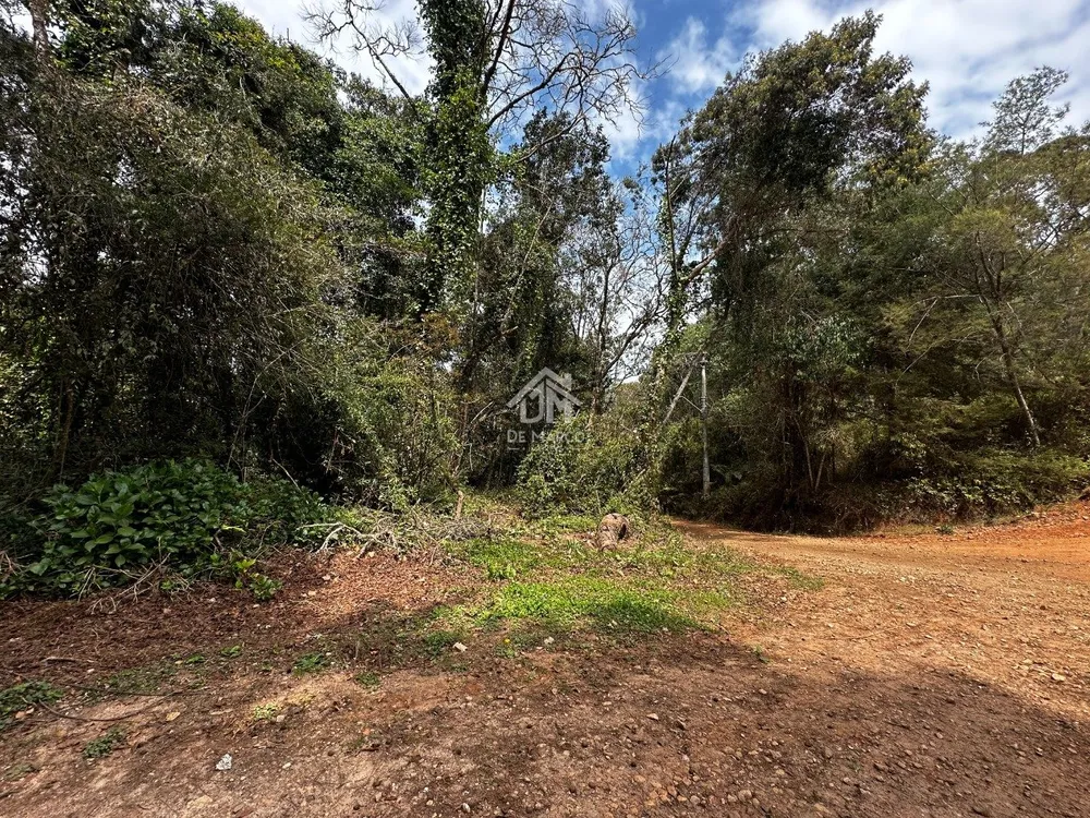 Terreno - Foto 9