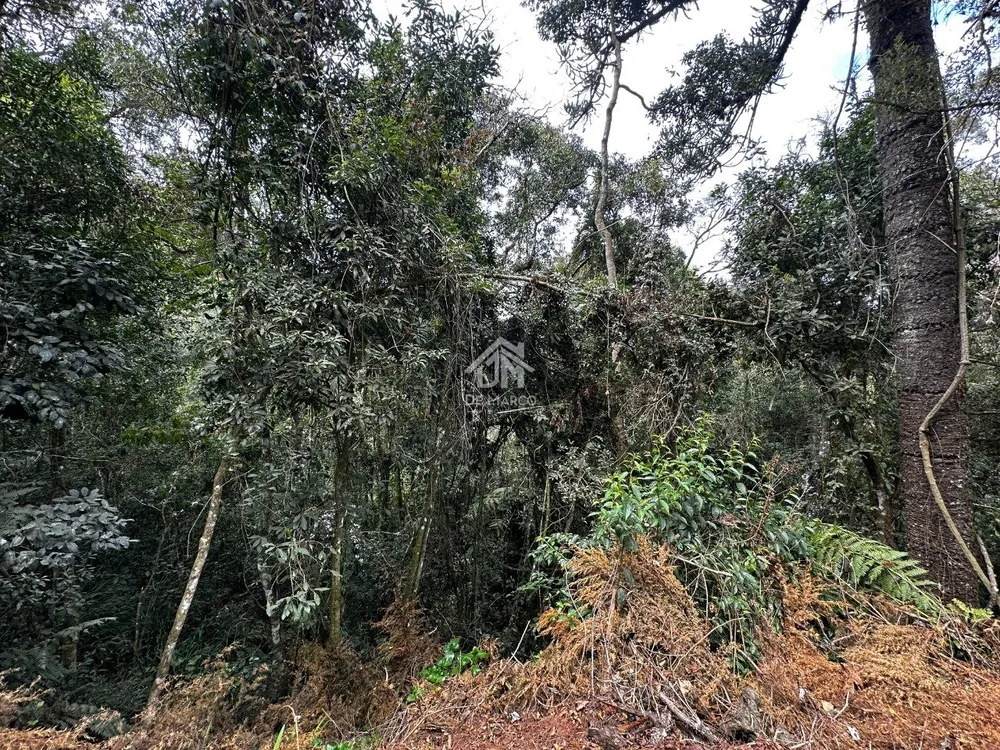 Terreno - Foto 3